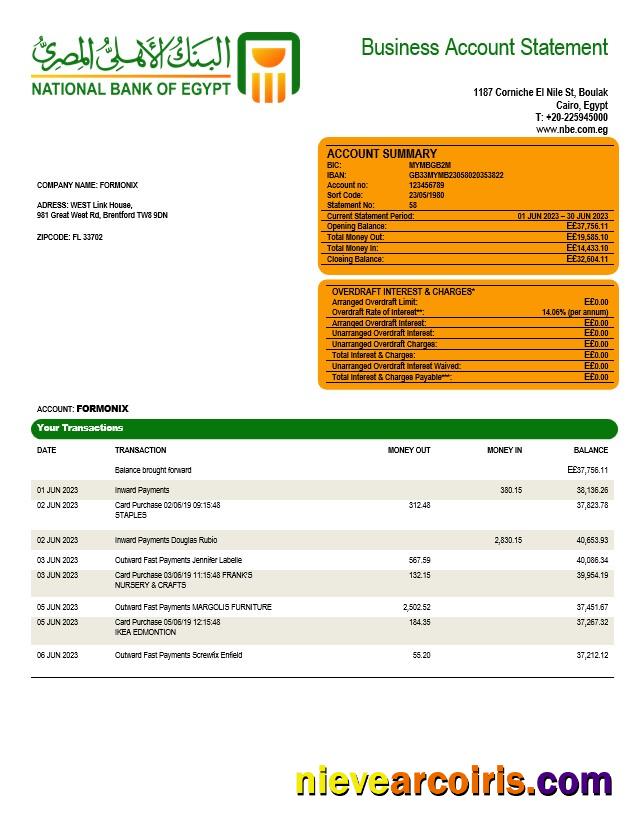 National Bank of Egypt company account statement